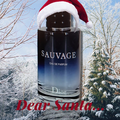 SAUVAGE By Christian Dior for Men